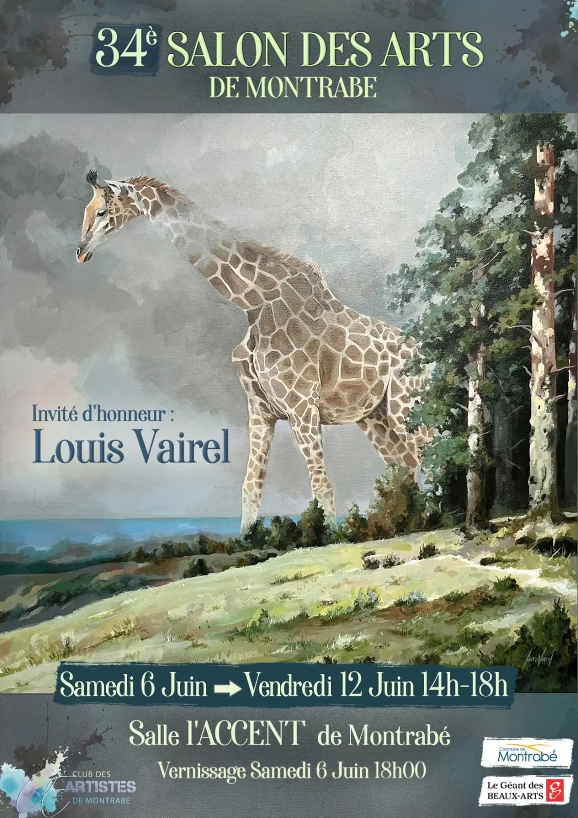 Affiche de Salon des arts de Montrabé