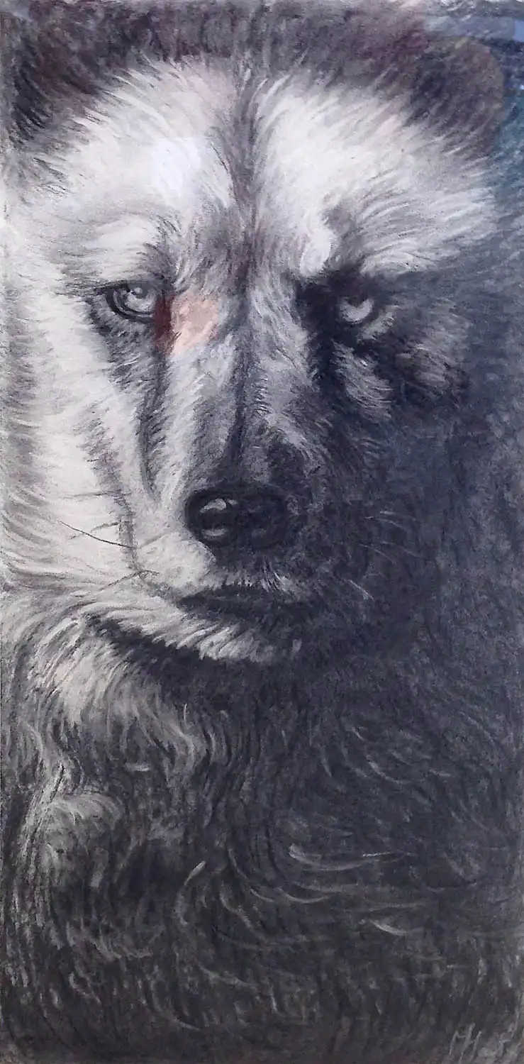 Guy di Stefano - 141 - MARTY Michelle