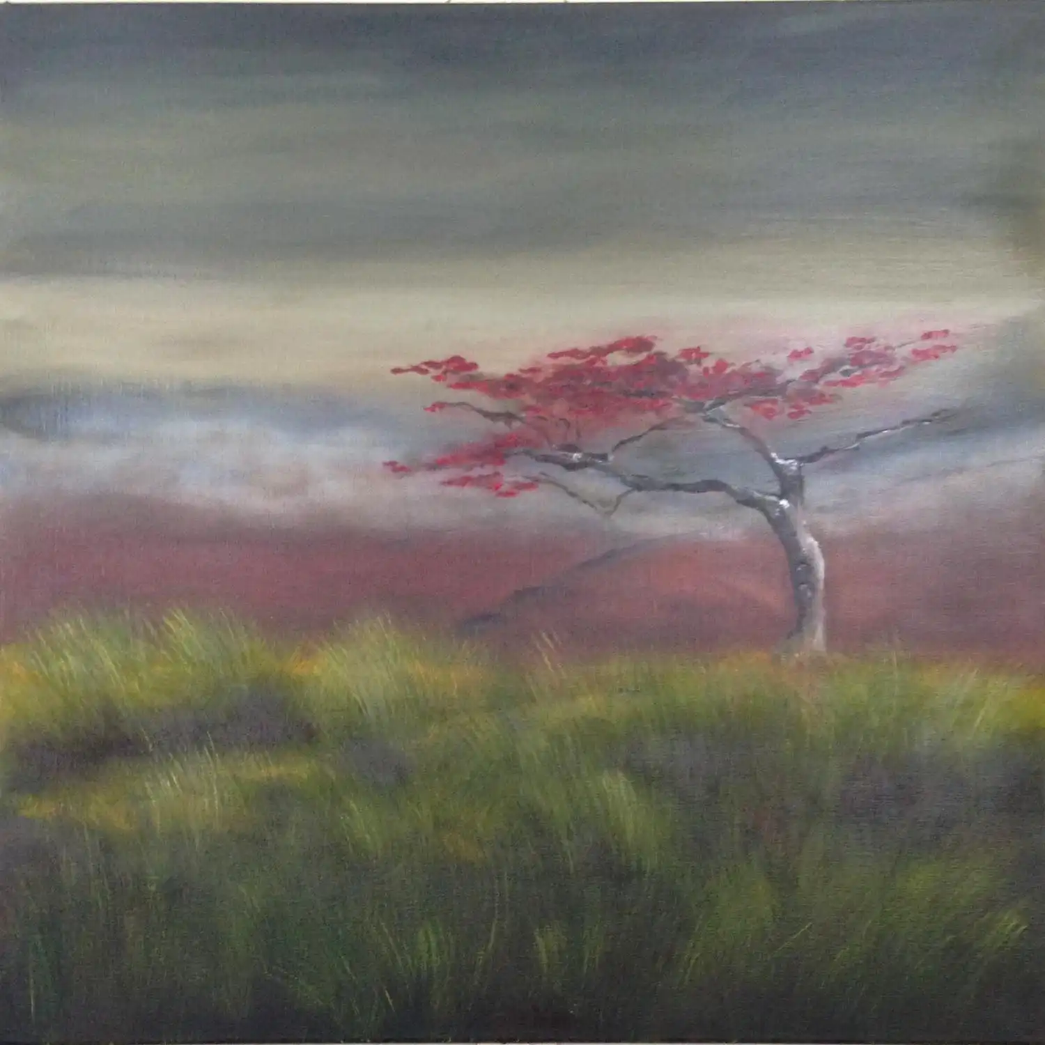 132 Marie-Jo Schifano