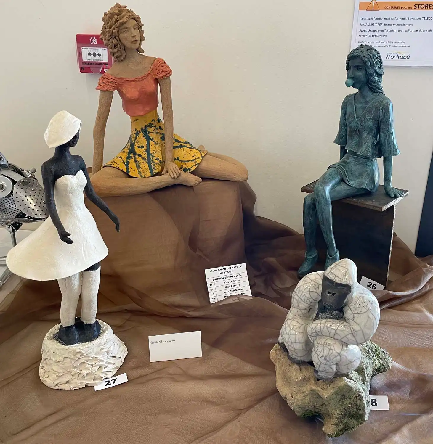 BRONISZEWSKI Joelle - Gorille (28)