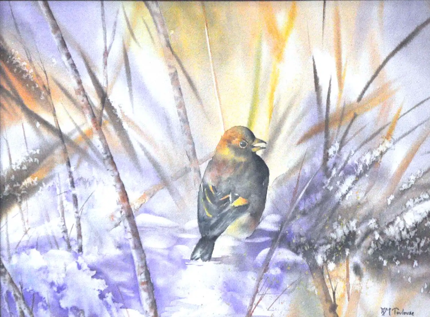 11 Anne-Marie Toulouse