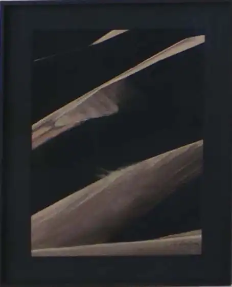 LARRIBEAU-MATHE Murielle