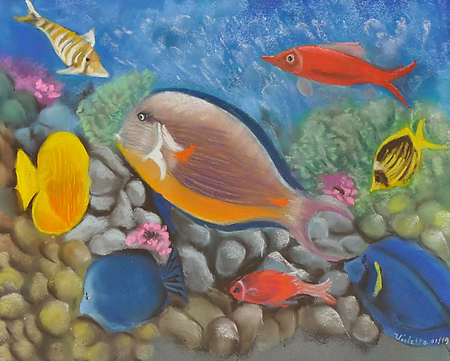 91 Violette Fogliata