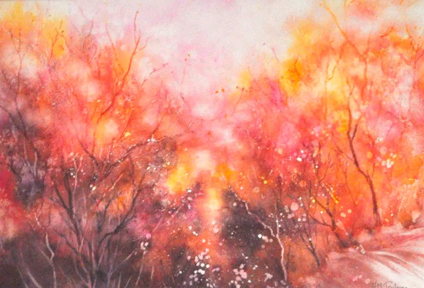 15 Anne-Marie Toulouse