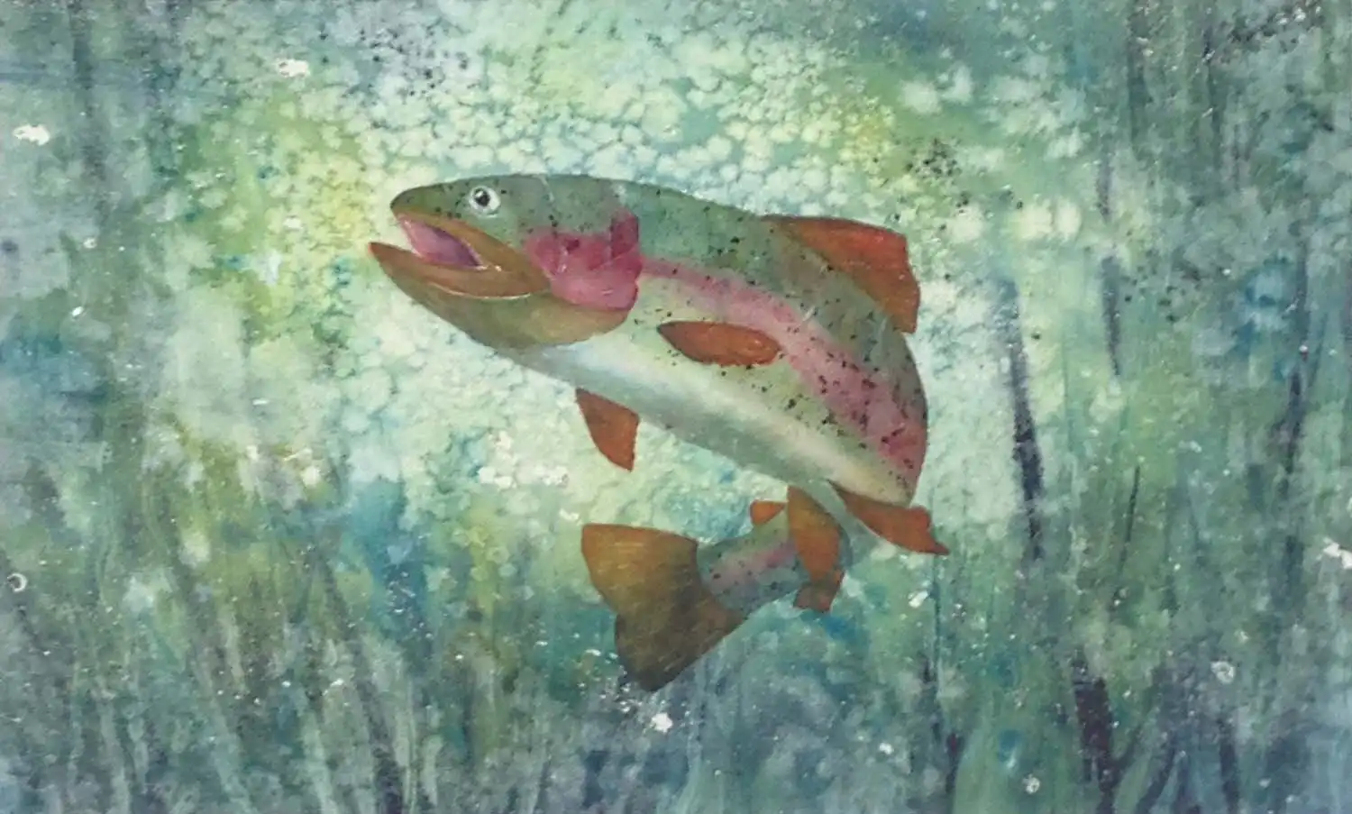 Anne-Marie Toulouse - Image 4