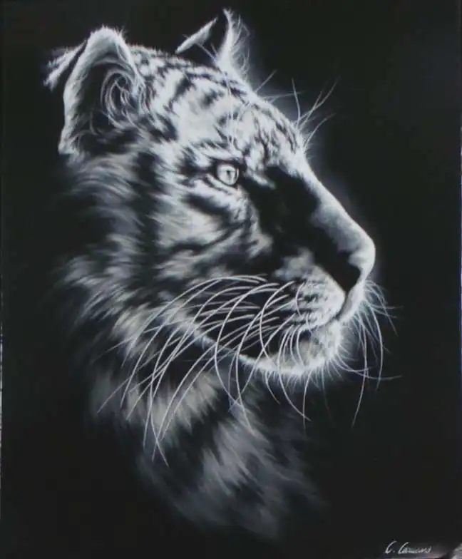 Clémence CARUANA - Image 8