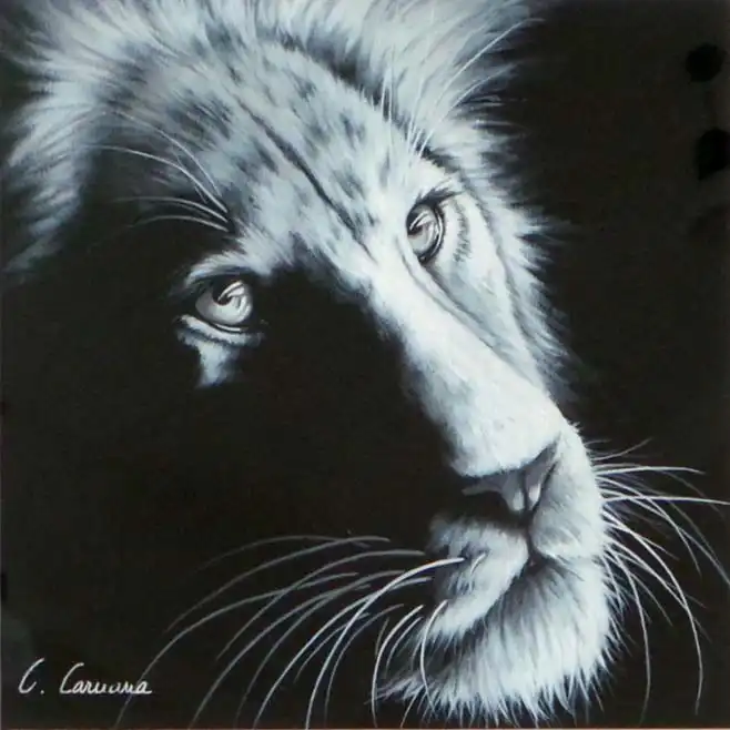 Clémence CARUANA - Image 23