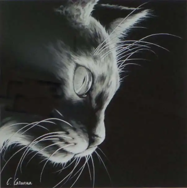 Clémence CARUANA - Image 20