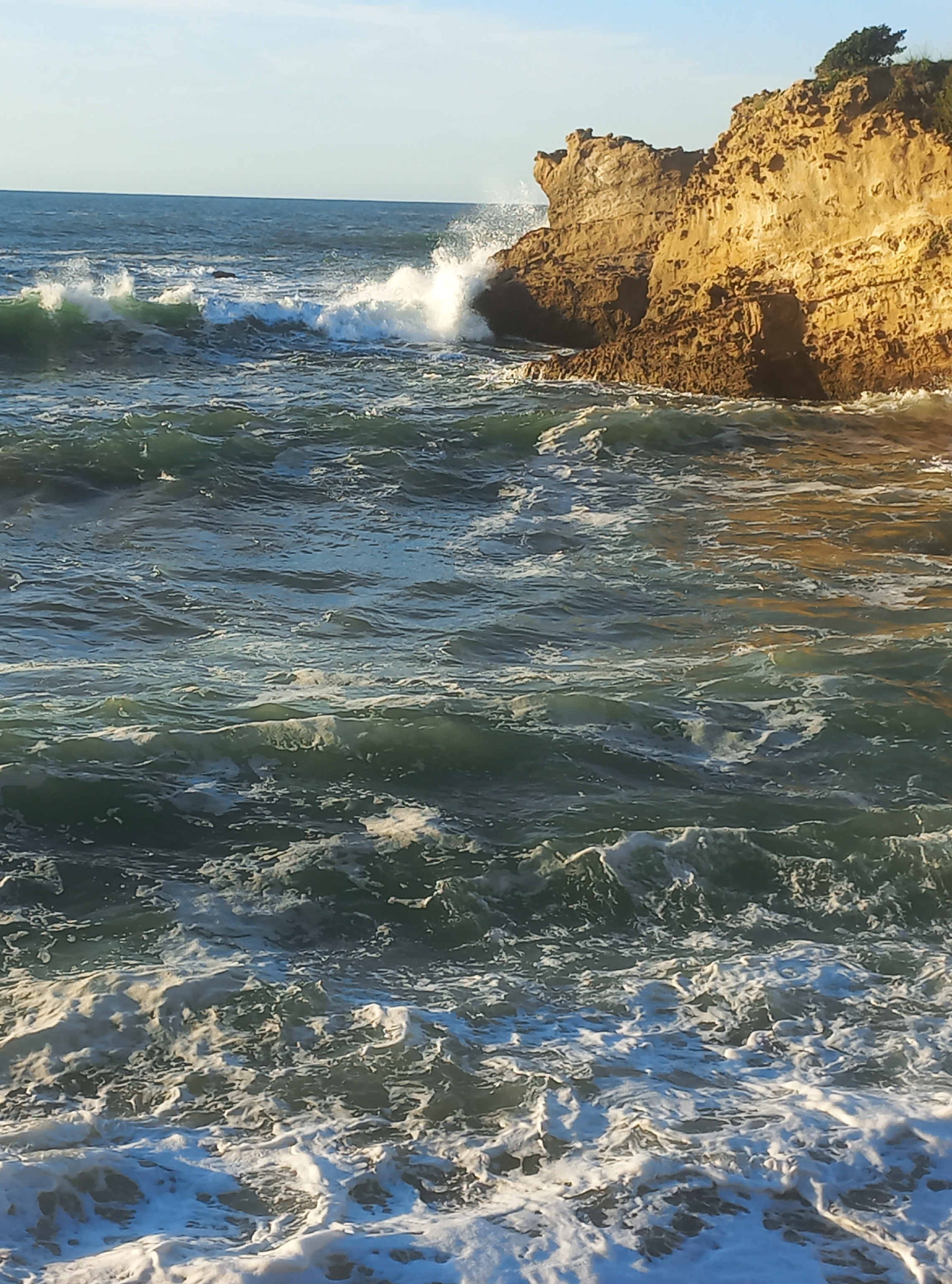 Sujet du stage A.Voinot du 24/01